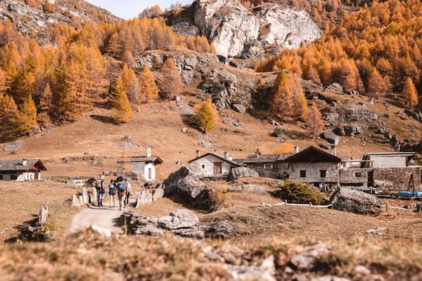 Où trouver les meilleures expériences de randonnée dans les parcs nationaux du Canada?