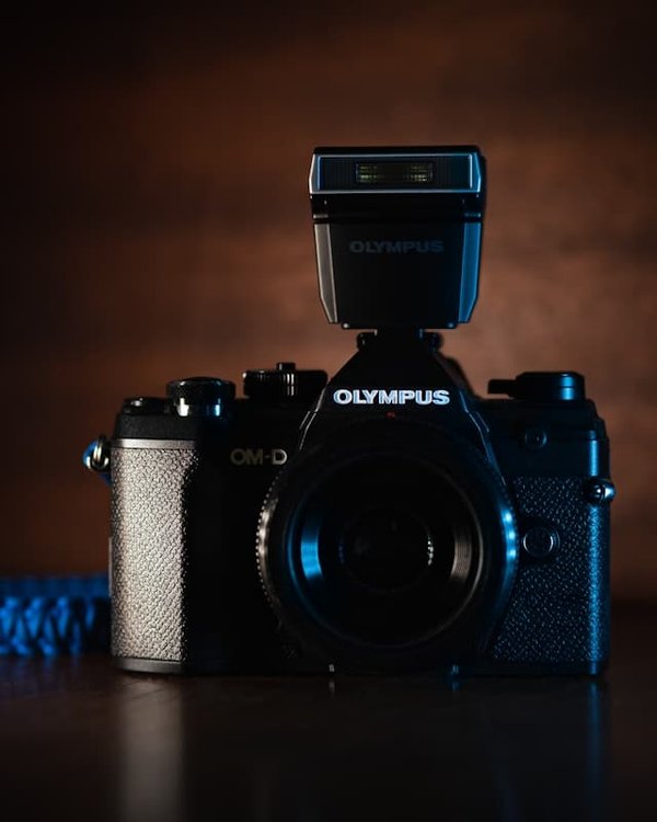 Quels sont les meilleurs spots pour une randonnée en raquettes dans les Carpates ?